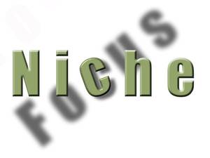 Niche Focus Logo