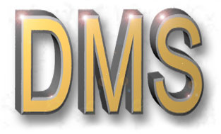 Data Mapping Solutions LLC - SplashLogo 